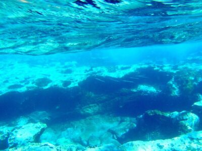 Tenerife Exclusive Snorkeling Trip with Marine Biologist - Where you meet in Golf del Sur and how the timing usually works