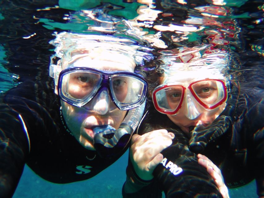 Tenerife Exclusive Snorkeling Trip with Marine Biologist - Price and value: what $94 buys (and what it doesn’t)
