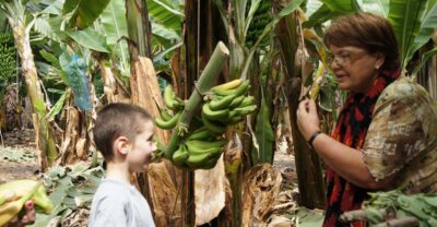 Tenerife: Finca Las Margaritas Banana Plantation Experience - Guided vs self-guided: pick the style that matches your group