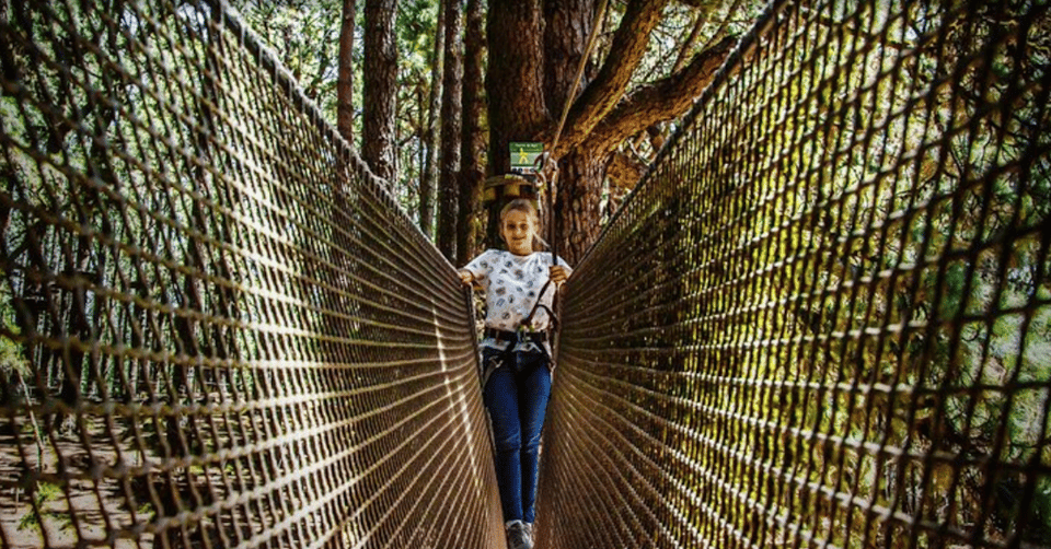 Tenerife: Forestal Park Tenerife Entry Ticket - Logistics on Tenerife: how to plan your travel to the park