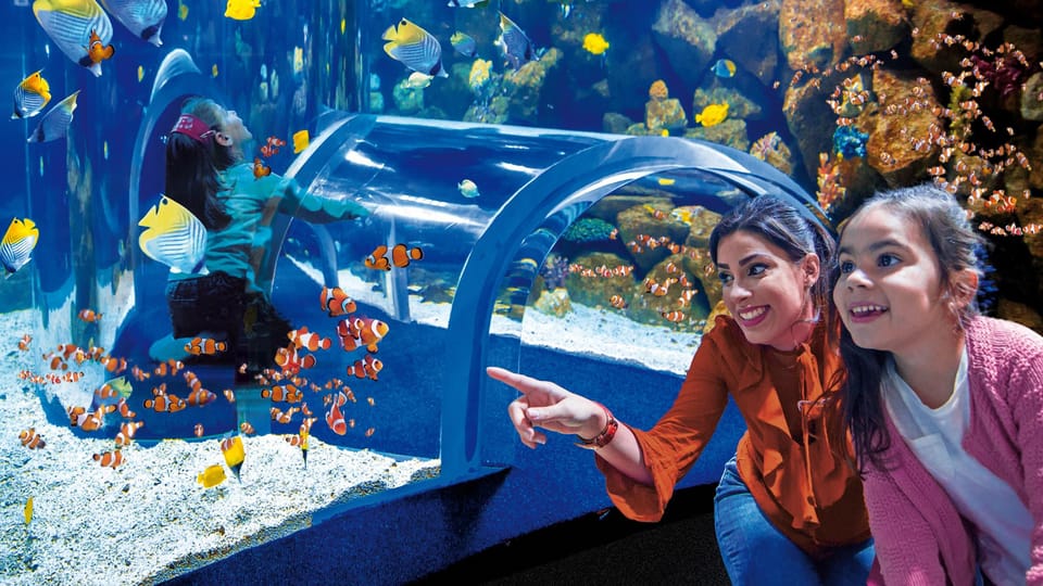 Tenerife: Gran Canaria Full-Day Guided Tour with Aquarium - Poema del Mar Aquarium: jungle, reef, ocean depths in one visit