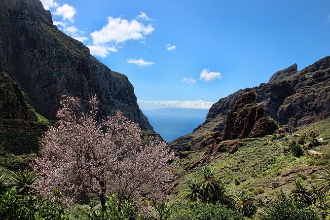 Tenerife Grand Tour: including Teide National Park and Masca - Morning Pickup to Teide: How the Day Flows