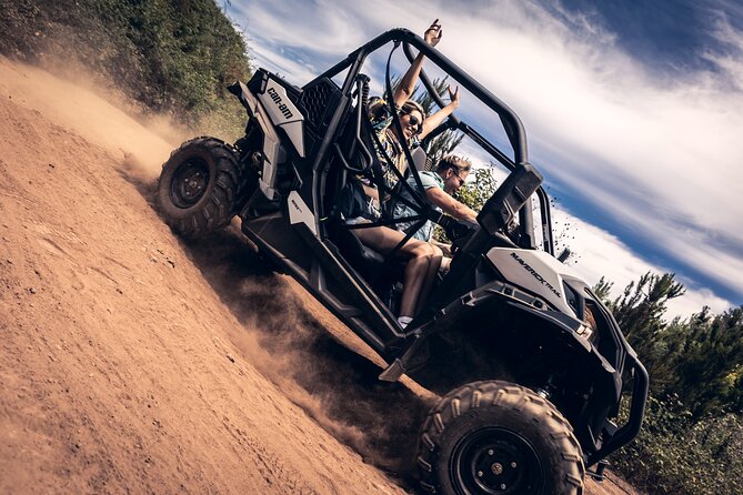 Tenerife Guided Buggy Discovery Tour Around Mount Teide - Key things to know before you go