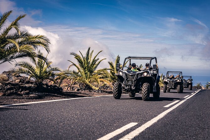Tenerife Guided Buggy Discovery Tour Around Mount Teide - Getting there: pickup, meeting point, and how the day actually starts