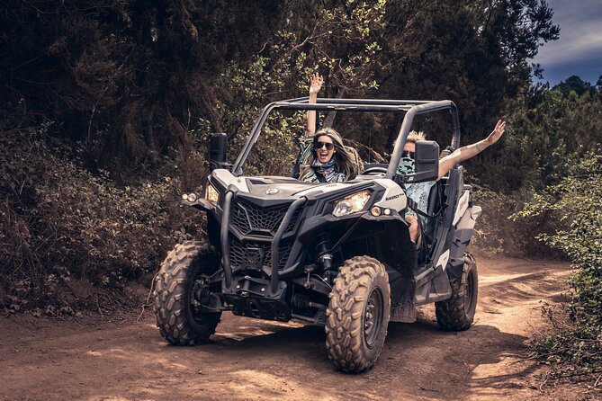 Tenerife Guided Buggy Discovery Tour Around Mount Teide - Stops 3 and 4 at El Tanque: calm break first, then subtropical forest tracks