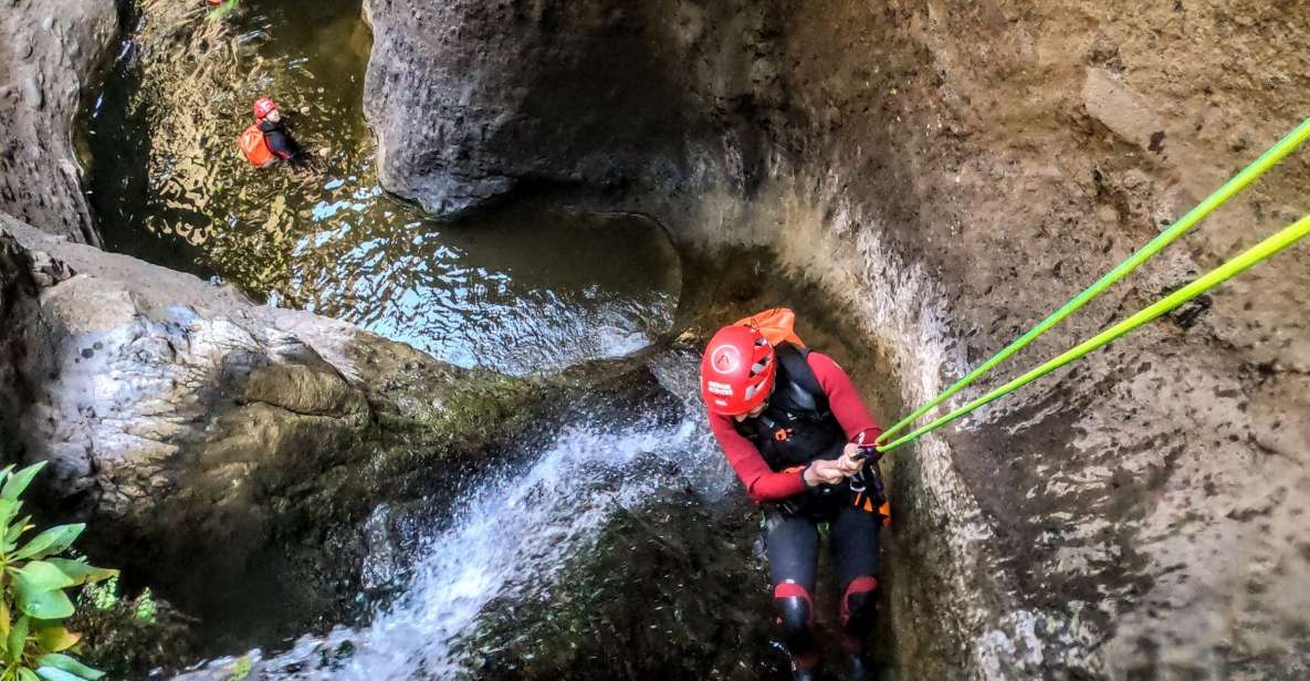 Tenerife: Guided Canyoning Experience - Gear and Safety: What’s Included and Why It Matters