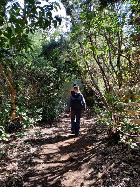 Tenerife: Guided tour guide in the Anaga Rural Park - What the guides actually bring to the walk (Mr. Garcia and Adrian)