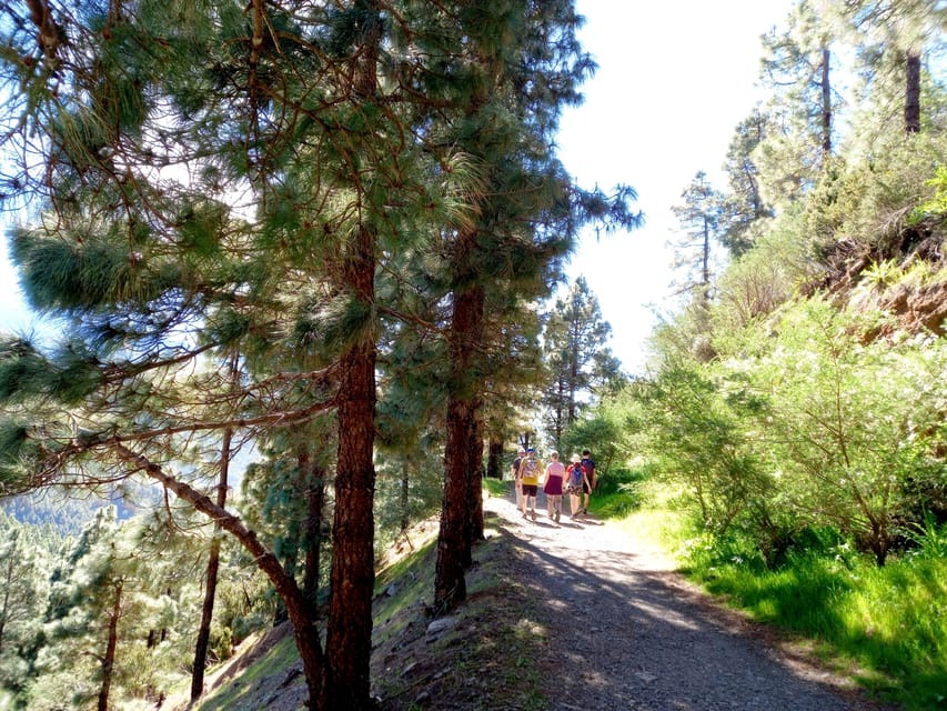 Tenerife: Hiking Above the Village of Masca - The 5-hour route: ridge, laurel rainforest, and a Sound of Music-style moment