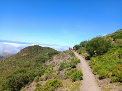 Tenerife: Hiking Above the Village of Masca - Transfers from Los Cristianos and how pickup works