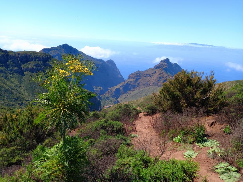 Tenerife: Hiking Above the Village of Masca - What to bring (seriously): rainforest basics that protect your day