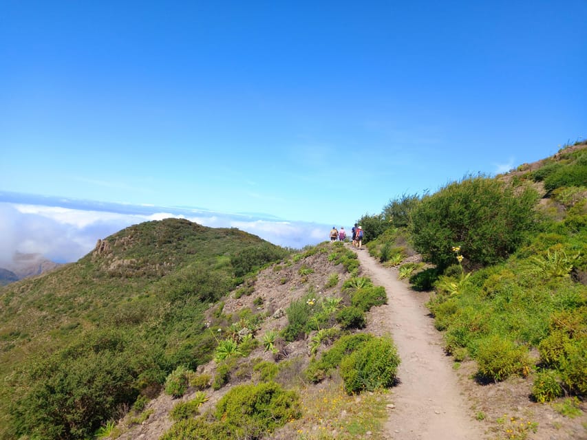 Tenerife: Hiking Above the Village of Masca - Transfers from Los Cristianos and how pickup works