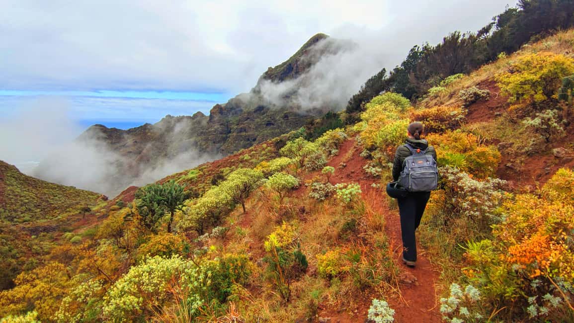 Tenerife: Hiking Tour in Anaga Mountains & Enchanted Forest - Should you book Tenerife: Hiking Tour in Anaga Mountains & Enchanted Forest?