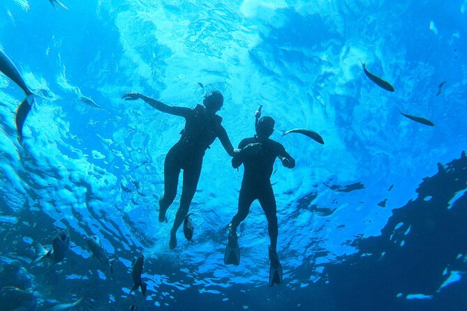 Tenerife Kayak Tour with Marine Wildlife Spotting and Snorkeling - Kayaking in South Tenerife: why this tour works for most people