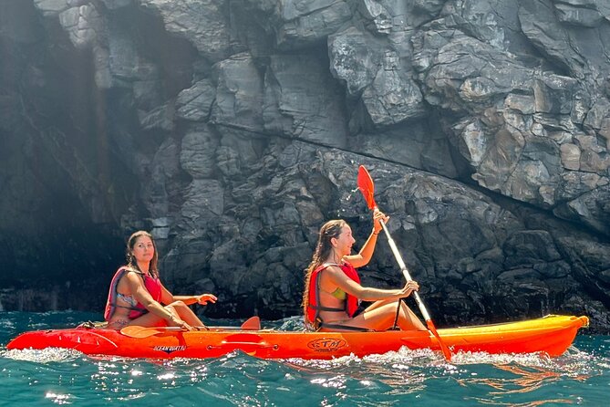 Tenerife Kayak Tour with Marine Wildlife Spotting and Snorkeling - Wildlife spotting: turtles and dolphins, plus the reality check