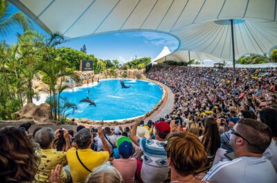 Tenerife: Loro Parque Entry Ticket - Price and what $52 really buys you