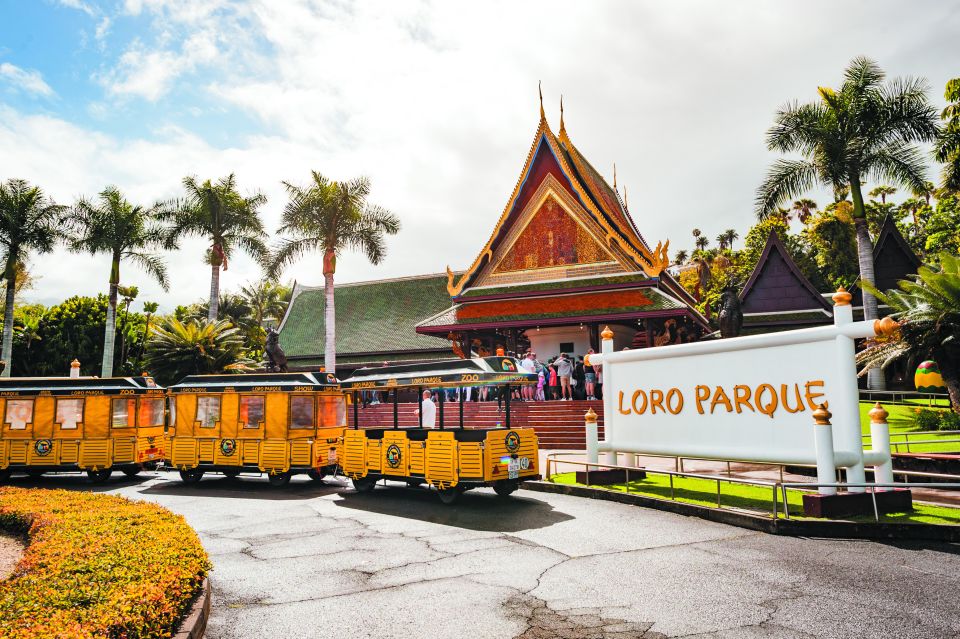 Tenerife: Loro Parque & Siam Park Entry Ticket with Transfer - Twin Ticket Value: Siam Park + Loro Parque Without the Headache