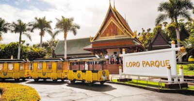 Tenerife: Loro Parque & Siam Park Entry Ticket with Transfer - Planning Your Two Days on Tenerife (Pick the Loro Date Carefully)