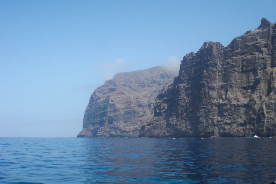 Tenerife: Luxury Private Whale & Dolphin Watching Tour - Key Points at a Glance