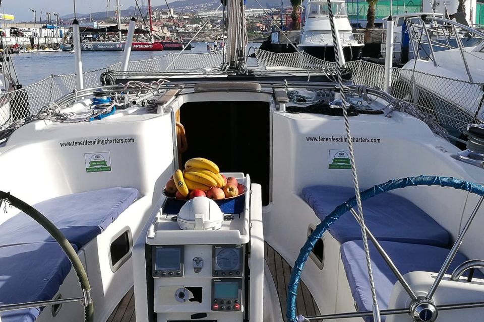 Tenerife: Luxury Private Whale & Dolphin Watching Tour - Why Puerto Colón on a Private Yacht Feels Like a Different Trip
