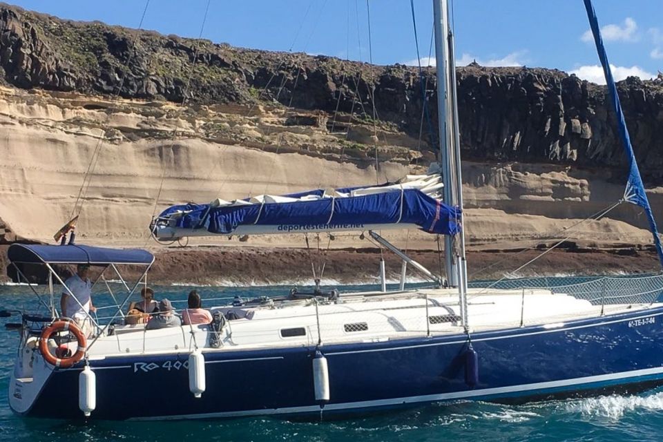 Tenerife: Luxury Private Whale & Dolphin Watching Tour - Meeting Point and Timing: How to Start Stress-Free