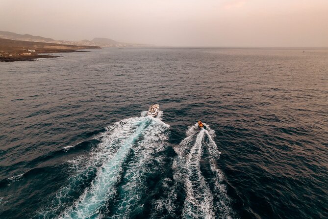 Tenerife Motor Boat Whale Watching & Snorkeling Experience - A Small-Boat Whale Watch in Tenerife’s South Coast