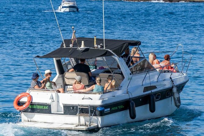 Tenerife Motor Boat Whale Watching & Snorkeling Experience - Who This Tenerife Whale Watching Trip Fits Best