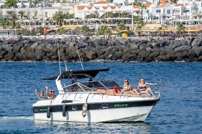 Tenerife Motor Boat Whale Watching & Snorkeling Experience - What the 10.8m Boat Setup Feels Like: Shade, Sunbeds, and Real Seating Limits