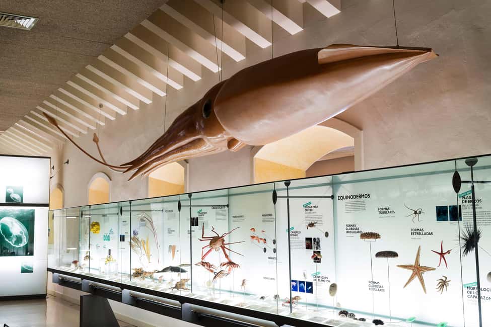 Tenerife: MUNA Museum Admission Ticket and Teide Legend Tour - A combo ticket that links Guanches to the volcano