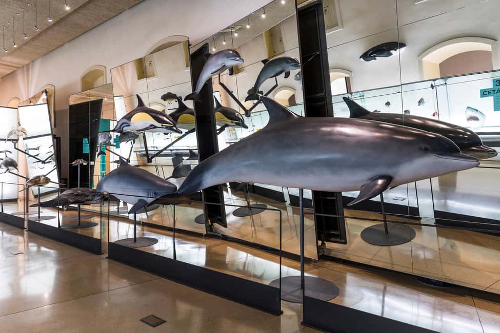 Tenerife: MUNA Museum Admission Ticket and Teide Legend Tour - Price and value: why this feels like a smart deal