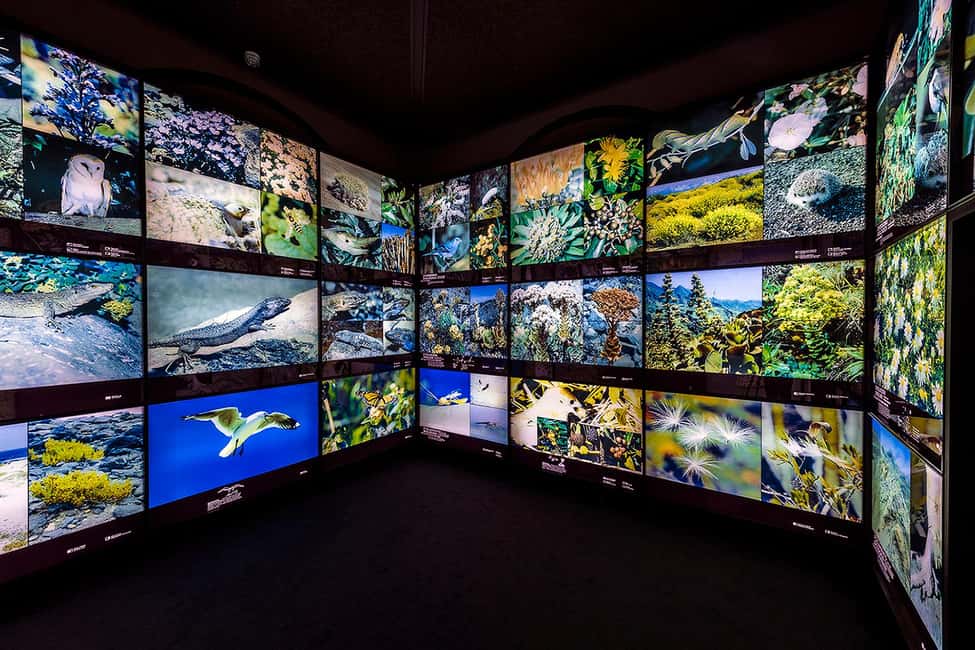 Tenerife: MUNA Museum Admission Ticket and Teide Legend Tour - Timing on Tenerife: how to plan your day around TF-21 km 43