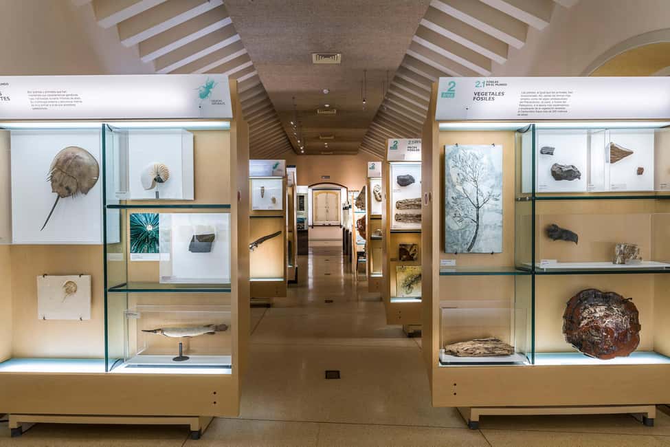 Tenerife: MUNA Museum Admission Ticket and Teide Legend Tour - Practical rules that keep everything smooth