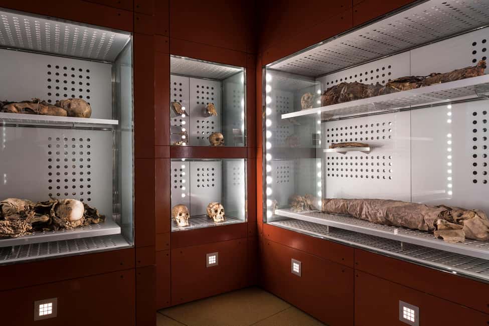 Tenerife: MUNA Museum Admission Ticket and Teide Legend Tour - Entering MUNA: the Guanche mummy collections you actually came for
