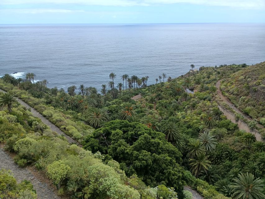 Tenerife: North Coast Landscapes Private Day Tour - Key Things You’ll Notice on This North Coast Day