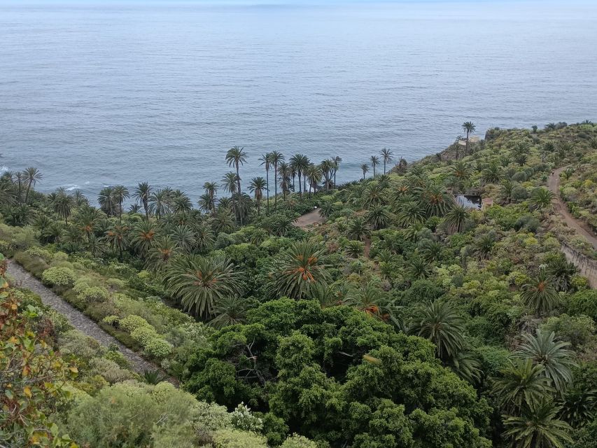 Tenerife: North Coast Landscapes Private Day Tour - San Juan de la Rambla: Historic Center Energy and La Laja Natural Pool