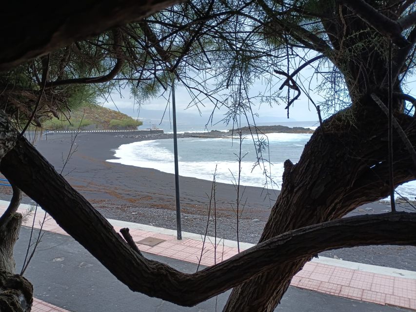 Tenerife: North Coast Landscapes Private Day Tour - Pace and Comfort: A 6-Hour Day That Moves, Not a Sit-and-Scroll Tour