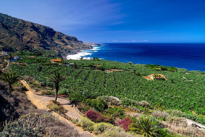 Tenerife North Private Tour: Through Villages and Ports - Key highlights worth your time