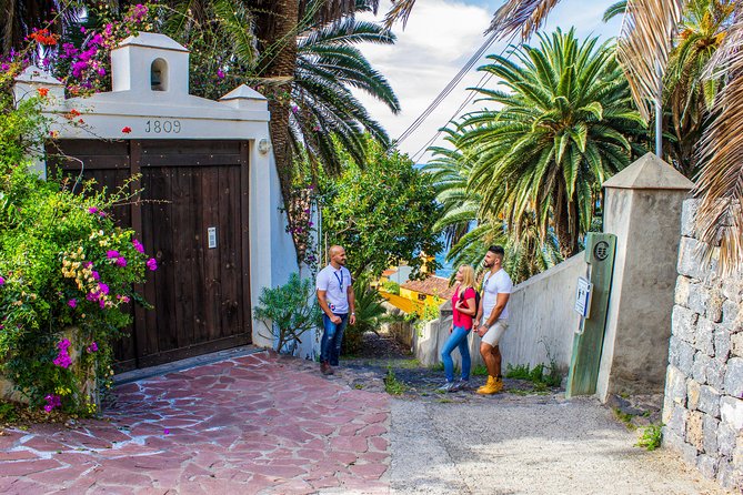 Tenerife North Private Tour: Through Villages and Ports - A private, electric-van day across Tenerife’s north coast