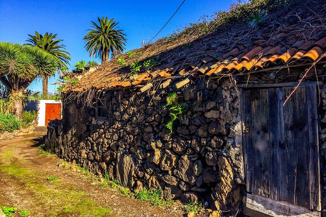 Tenerife North Private Tour: Through Villages and Ports - What you’re paying for: price and value for up to 2