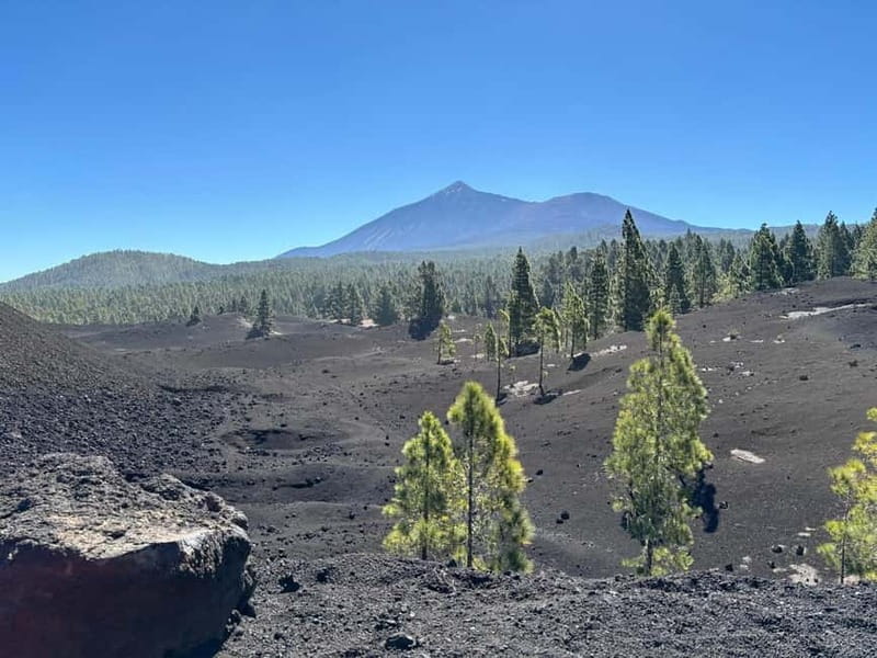 Tenerife: premium e-bike ride at Chineyro volcanic area - From Adeje to Santiago del Teide: the ride starts with a smooth setup