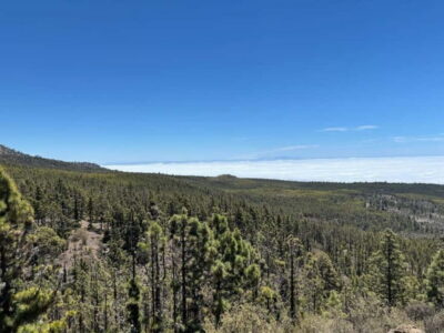 Tenerife: premium e-bike ride at Vilaflor- Lunar Landscape - The 6-Hour Structure (Plus Transfers): How Your Day Actually Feels