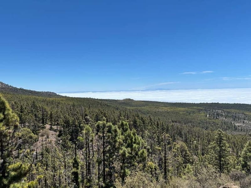 Tenerife: premium e-bike ride at Vilaflor- Lunar Landscape - The 6-Hour Structure (Plus Transfers): How Your Day Actually Feels