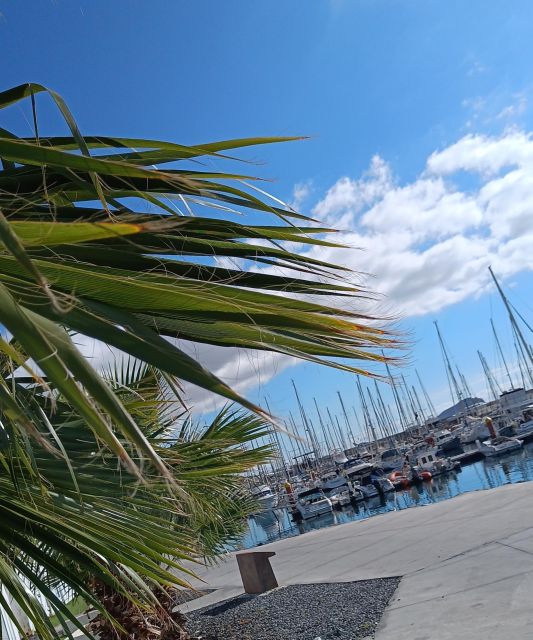 Tenerife: PRIVATE Catamaran cruise with Lunch and Drinks - Food and Drinks on Board: Lunch That Feels Like Part of the Day