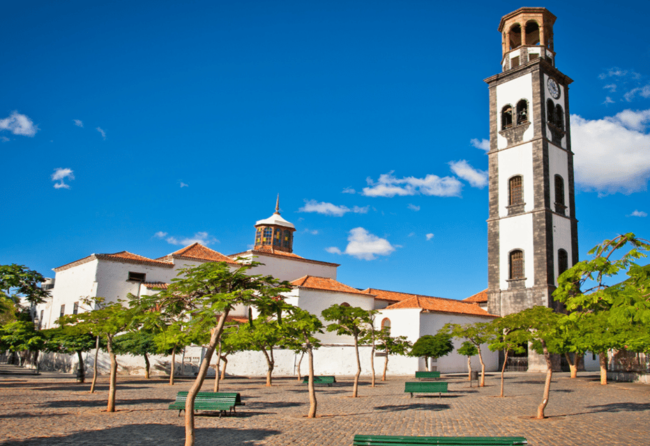 Tenerife: Private Day Tour of the Island with Hotel Pickup - Icod de los Vinos: The 1,000-Year-Old Drago Tree Moment
