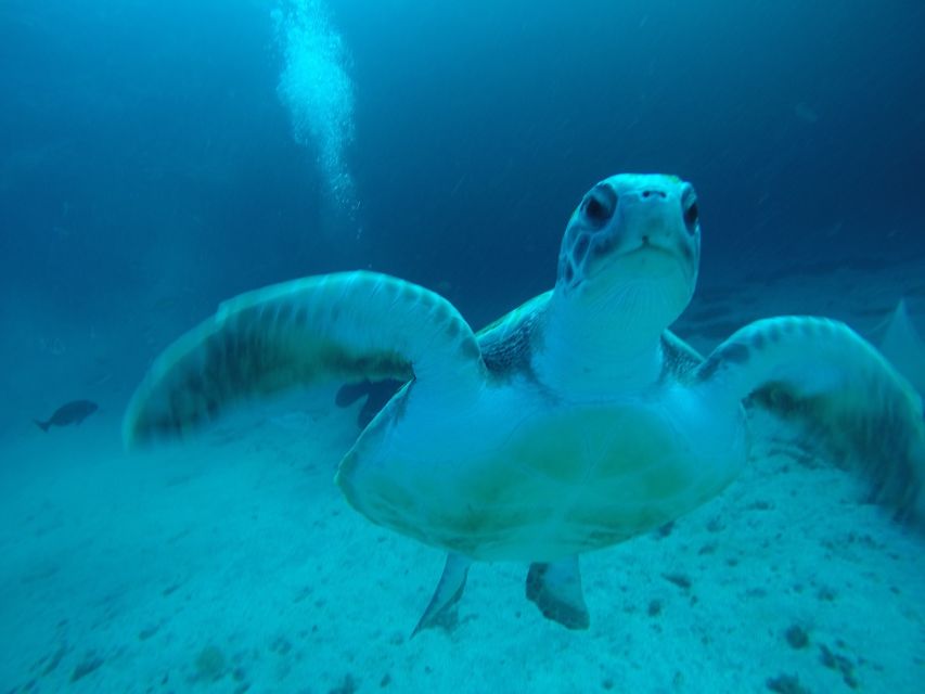Tenerife : Private Dive for Beginners from a Boat - The meeting, prep, and safety talk before you go
