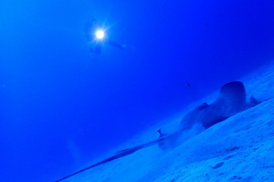 Tenerife : Private Dive for Beginners from a Boat - Entering the water: your guided plan and realistic expectations