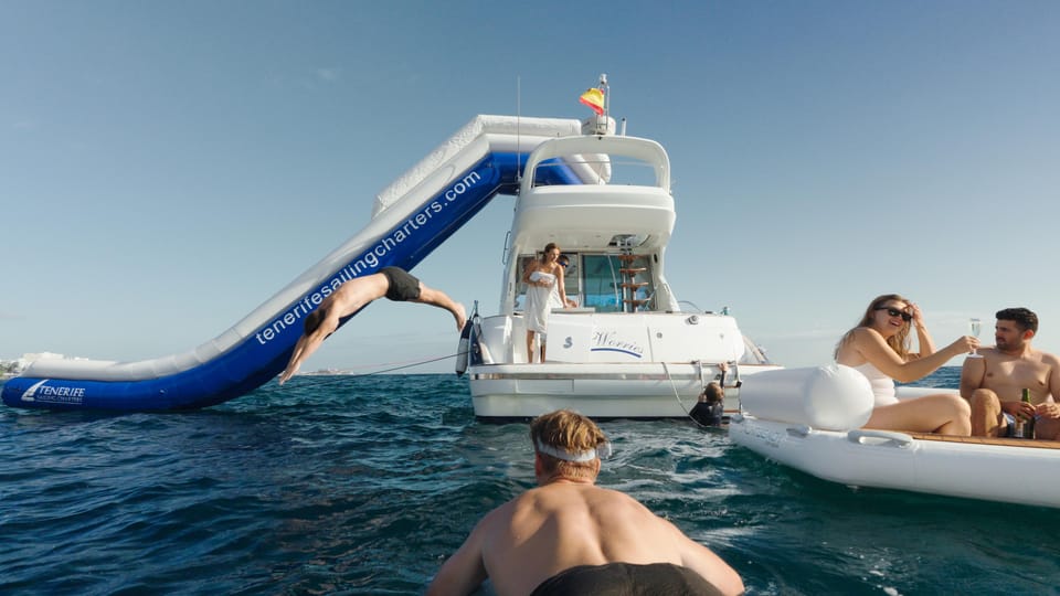 Tenerife: Private Luxury Yacht Sunset Cruise - Marine Life Viewing: What You’re Likely to See (and What You’re Not)