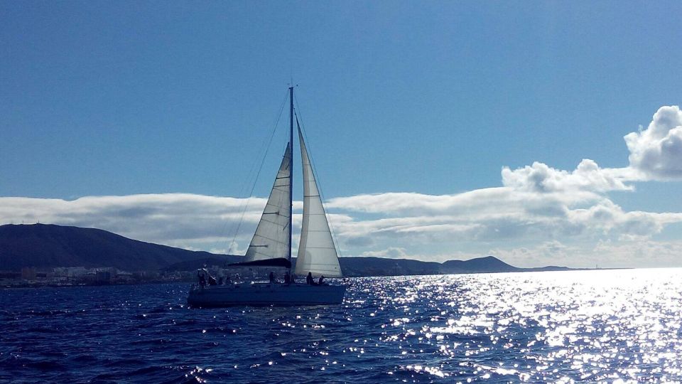 Tenerife: Private or Group 3 Hour Sailing Cruise with Drinks - Starting at Puerto Colón: Finding the boat without stress