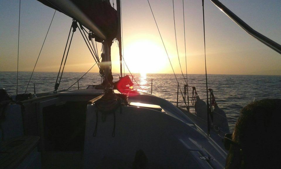 Tenerife: Private or Group 3 Hour Sailing Cruise with Drinks - Whale and dolphin spotting: how to think about cetacean watching
