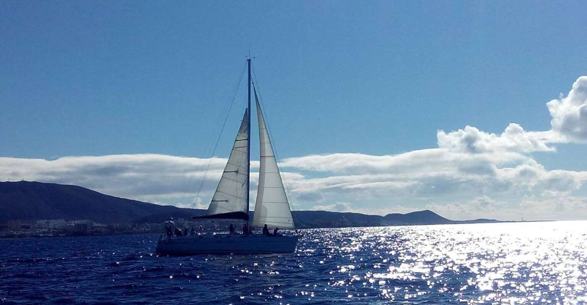 Tenerife: Private or Group 3 Hour Sailing Cruise with Drinks - The sea swim: when you can cool off in Tenerife
