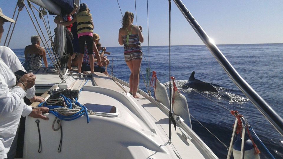 Tenerife: Private or Group 3 Hour Sailing Cruise with Drinks - Price and value: is $65 per person a fair deal?